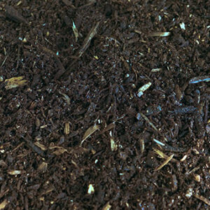 Premium Compost