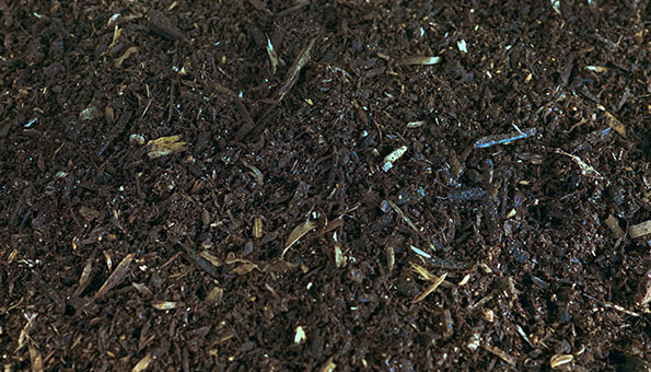 Premium Compost