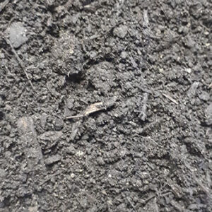 Premium Ultra Soil (Triple Mix)